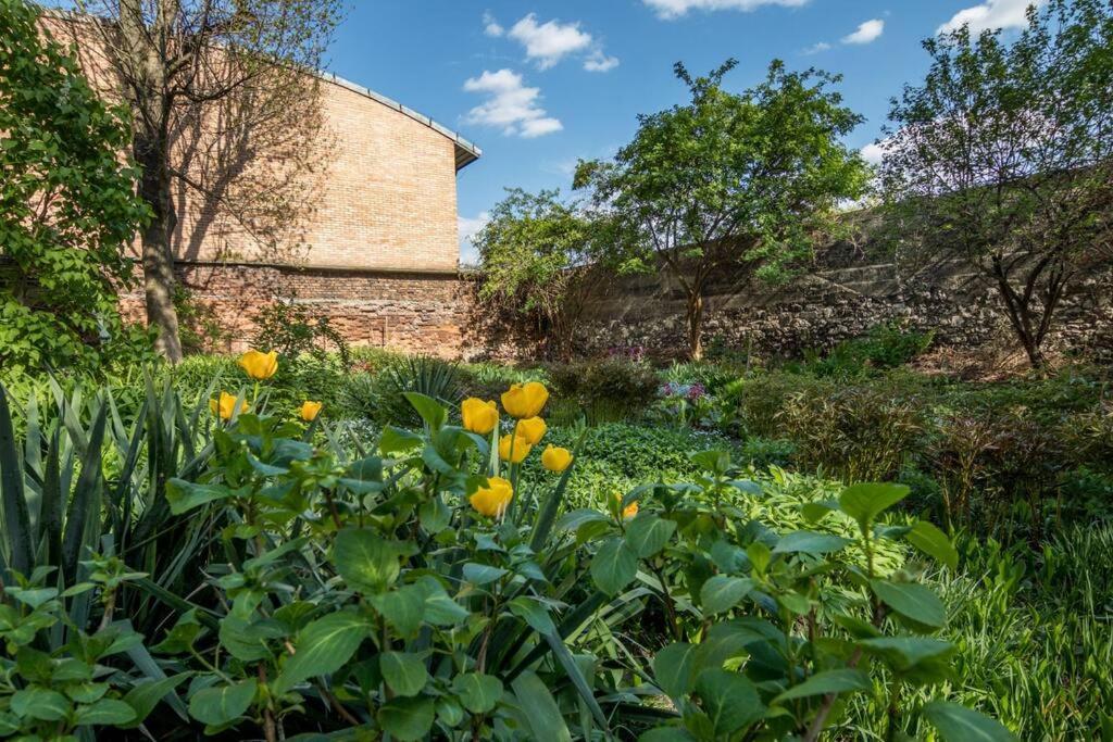 Apartment Studio With Garden - Wawel Neighborhood *